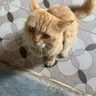 رقم التواصل