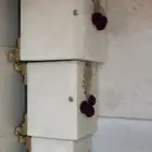 صناديق