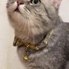 رقم التواصل