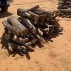 حح طط بب للبيع