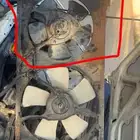 سلام عليكم ورحمة وبركاته