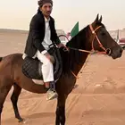 حصانك جاهز ومعسوف