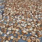 للبيع خبز للمواشي