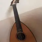 عود السلطان للبيع