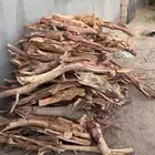 للبيع حطب سمر مستورد