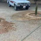 هايلوكس 2001