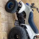 دباب على السوم