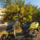 دباب سوزوكي افنيس 2025