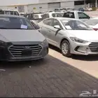 مطلوب النترا 2017 2018