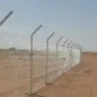 مقالات عامه شبوك نخل عربي واشنطن