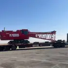 لوبد في ضباء