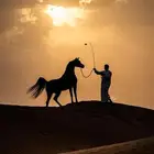 مطلوب مدرب ركوب خيل