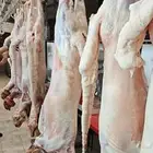 عرض ذبايح أنظف لحم بأفضل سعر