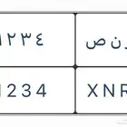 للبيع لوحه مميزه