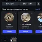 فندق قطط سعر مناسب