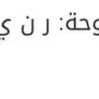 للبيع لوحة مميزة ( ر ن ي 696 )