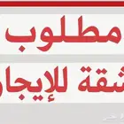 مطلوب شقة للايجار