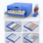 فقاسات رول 36-48-64-180-300-500