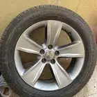 دوج