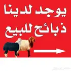 للبيع نواع ذبائح البريه