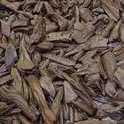 عود مروكي اصقون
