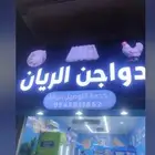 محل تقبيل الدمام حي طيبه شارع ابو بكر الصديق