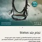 عده خيل استخدام اقل من اسبوع