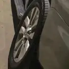 جنوط سكويا 20فل كامل وكالة