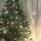 Abu Al Qassim Al Amadi