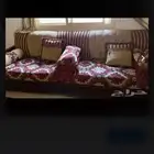 لوحه الله كنب مغربي