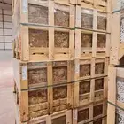 رخام تركي