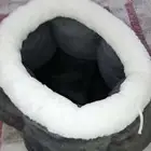 بيت قطوه جديد يوجد فيديو له عالخاص