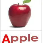 معلمة خصوصية تدريس خصوصي أطفال ابتدائي