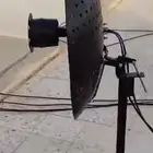 راوتر زين وانتينا ميمو