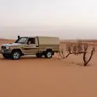 شاص ديزل 2019