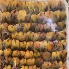 دخل شرط الشرط.