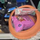 قطه شيرازي للبيع