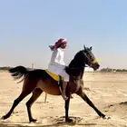 مهره شعبيه فاخره