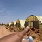 للبيع 3بيوت محمية