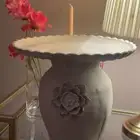 صحون حلاء