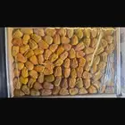 سكري القصيم طيب جدا