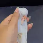 فروخ روز نهاية غر