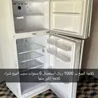 ضباء