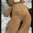 دب كبير بني
