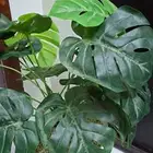 نبته