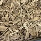 للبيع عود