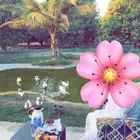مزرعة واستراحة للبيع من المالك مباشرة جازان بيش