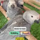 فروخ كاسكو