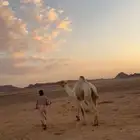 حر للبيع بشهادة
