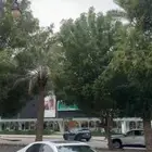 كداد ماشي من الرياض إلى الدمام او الأحساء
